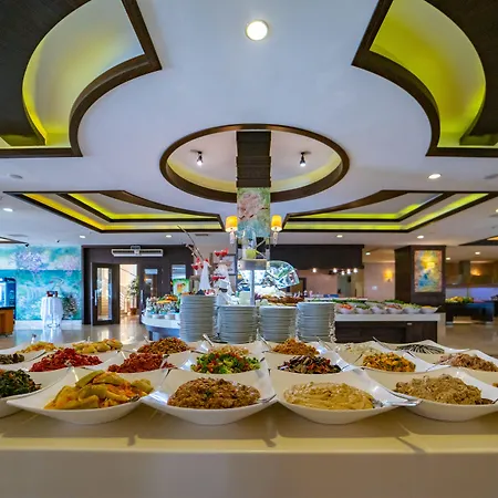 Amelia Beach Resort Hotel-3